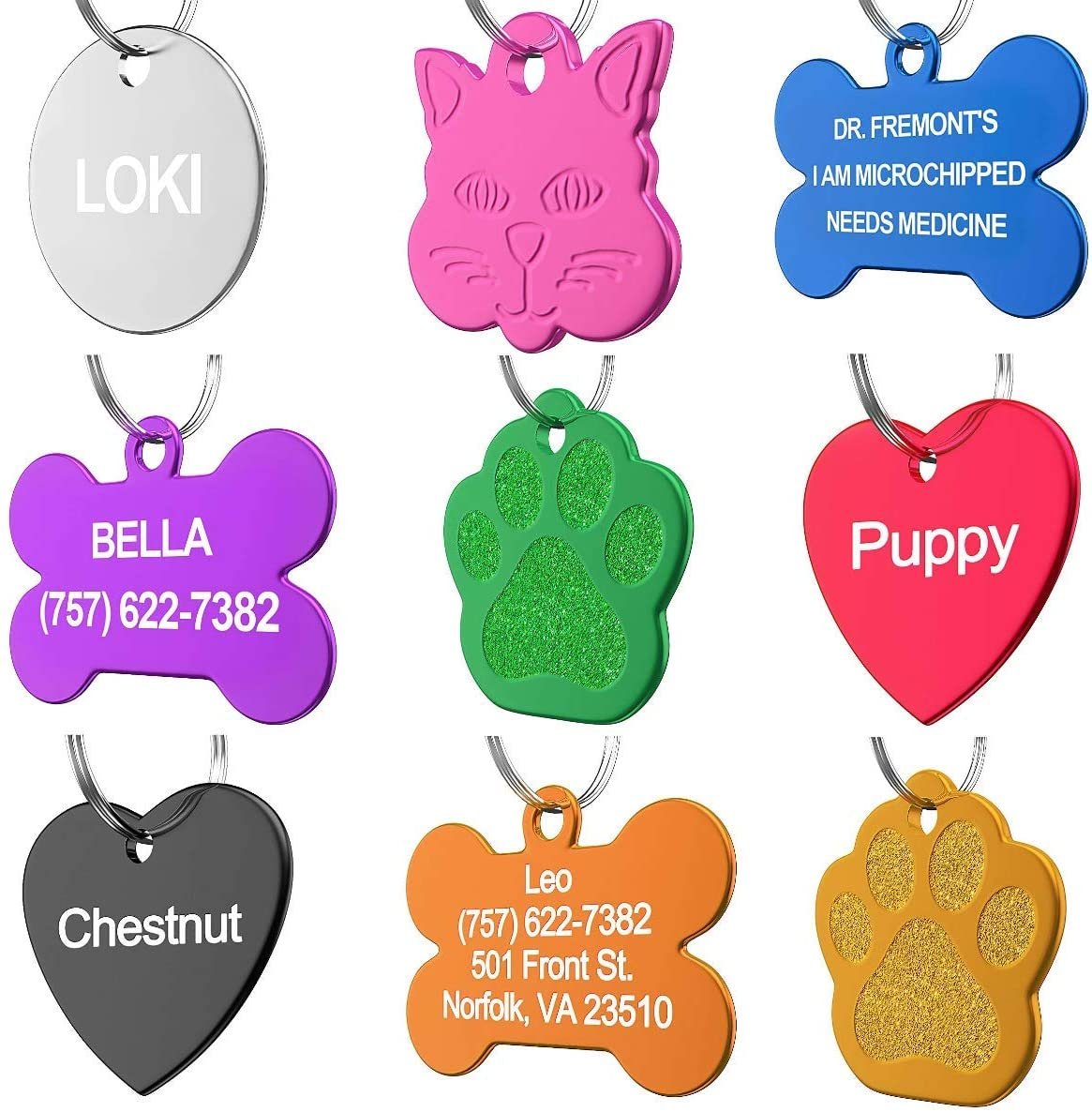 Dr. Fremont's Pet ID Tag Custom for Dog Cat Personalized